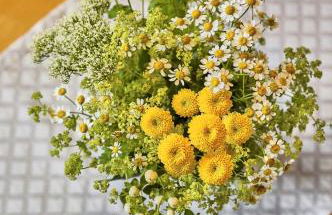 Haus Wiesengrund - Foto 20