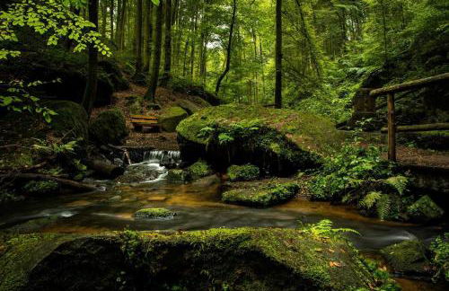 Ferienwohnung Iris Schumacher - Photo 16