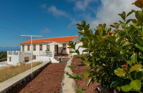 Casa da Figueirinha - Photo 6