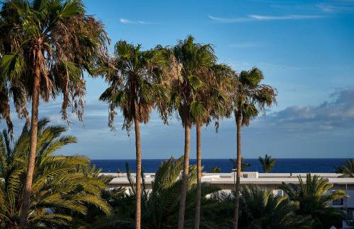 Casa de Cactus - Photo 28