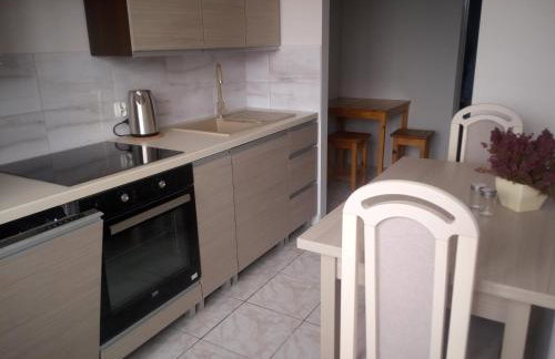 Apartamenty i pokoje Pluszak - Foto 49