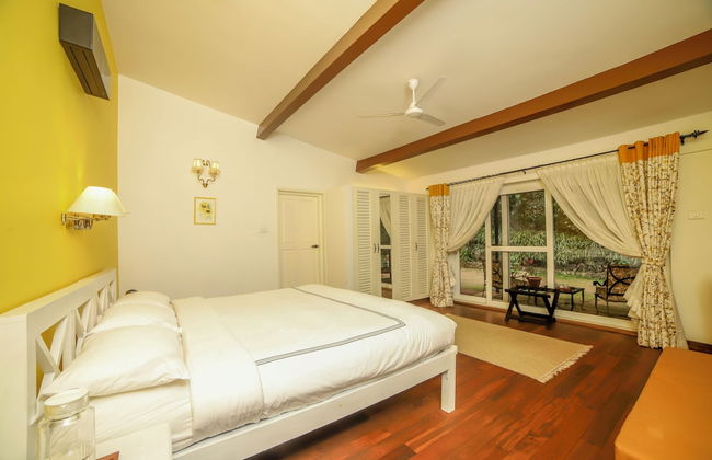 Rayne Forest - Foto 7