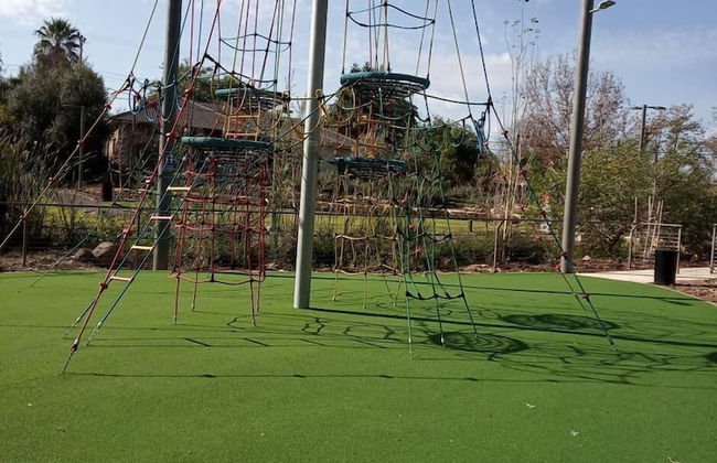 Love & Lemons - Photo 25