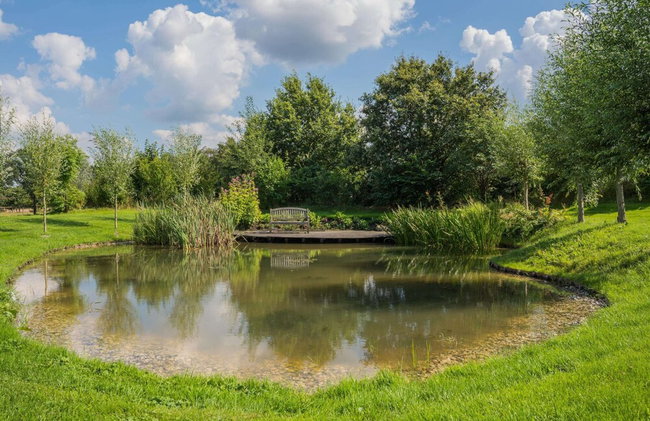 Grandeur Farmhouse in Dwingeloo at a National Park - Foto 32
