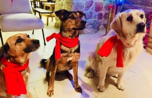 Casa da Ventozella - Foto 70