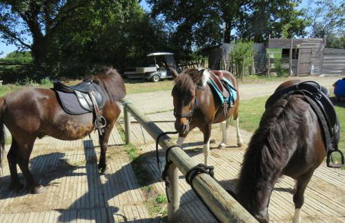 Gîtes Les P'tites Maisons dans la Prairie - Foto 42