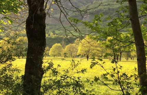 Casa Aranesa - Photo 40