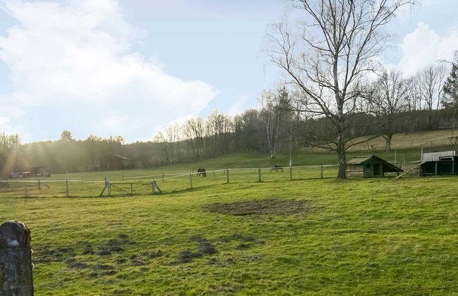 Magnificent Holiday Home in Manhay With Fenced Garden - Photo 38