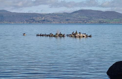 La Finestra tra le Stelle - Foto 39