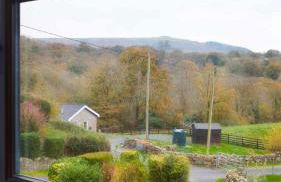 Y Fedw Wen - Foto 25