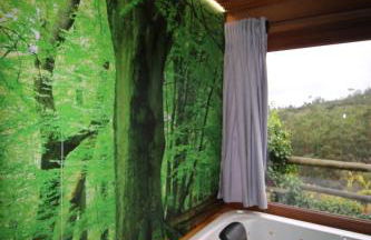 Love Story - Lareira & Sauna - Piscina - Foto 42