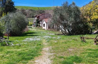 Taverna Centomani - Photo 35