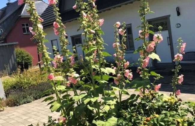 Feuerstein House Monchgut - Foto 20