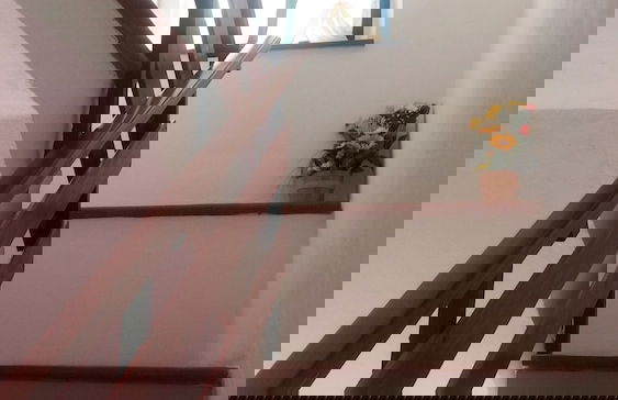 Agriturismo Pinzale - Foto 31