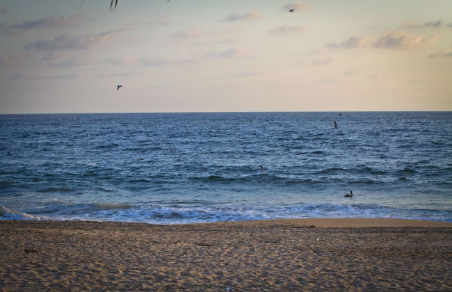 Small Luxury Hotel, Hideaway Near Acapulco on the Beach - Foto 14