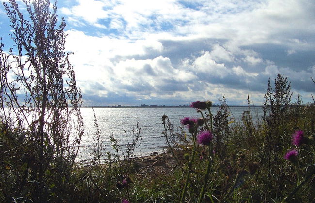 Ferienanlage Petersdorf auf Fehmarn-petersdorf - Foto 26