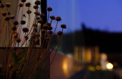 Veiga da Fraga - Foto 39