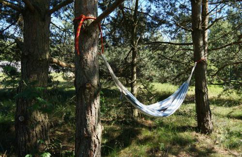 House Garden&Spa-Dom nad morzem z Sauną i Jacuzzy - Foto 42