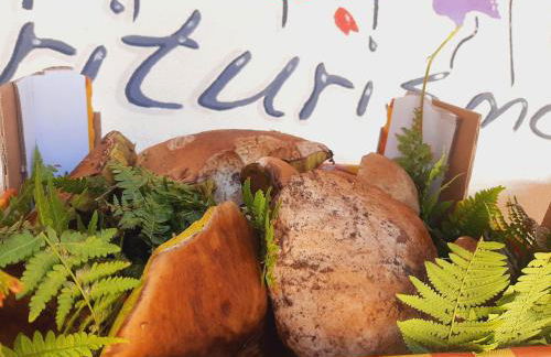 Agriturismo Fior Di Campo - Foto 92