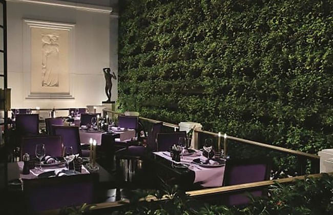 Signature Affordable Luxury - Foto 19