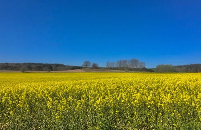 Gorgeous Apartment in Neuburg With Terrace - Foto 66