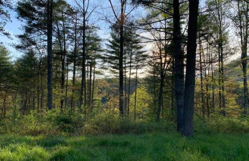 1878 Victorian Farm House near Asheville - Foto 53