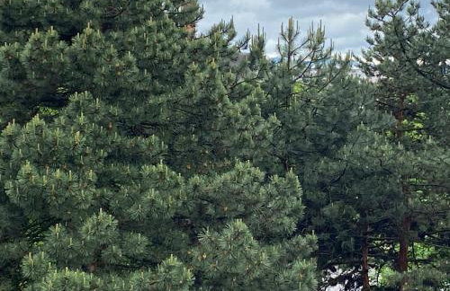 Apartment in the city center - Foto 16