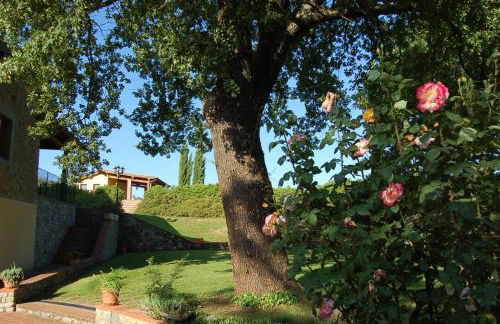 Agriturismo Il Palazzo - Foto 79