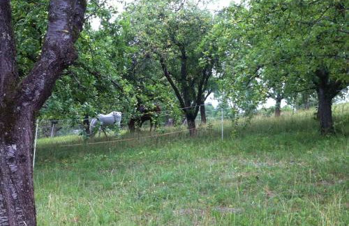 Ferienwohnung Heike - Foto 11