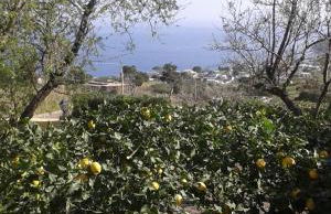 la casa di titti e jack - Foto 41