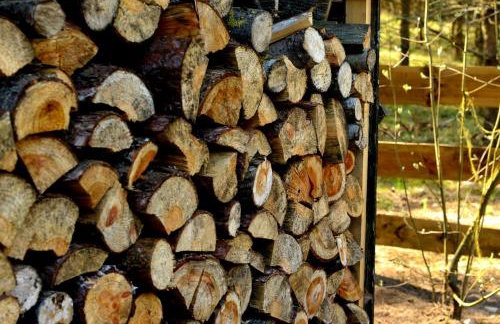 Mazury - Giżycko - Harsz - Domki - ApartMazury Osada - Foto 35