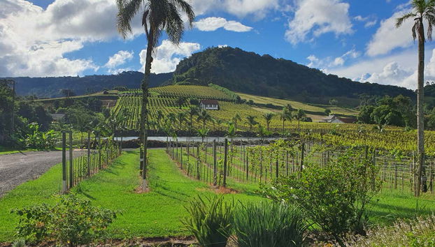 Nove Colônias Bike Tour + Picnic at Casa Sander - Foto 4