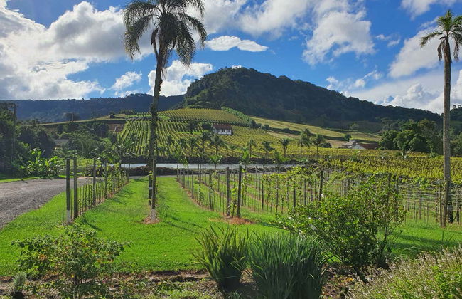 Nove Colônias Bike Tour + Picnic at Casa Sander - Foto 4