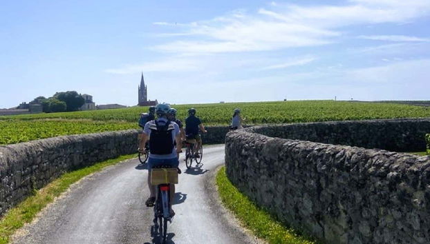 Saint Emilion Vineyards Bike Tour - Foto 5