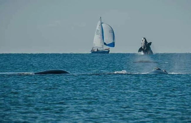 Cabañas Las Brisas - Photo 31