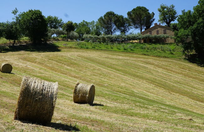 Agriturismo Pascucci - Foto 11
