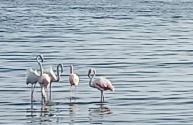 Entorno Maravilloso - Foto 49