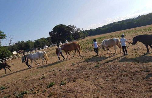 Airport Paris Eiffel Tower Center Roissy CDG - Foto 31