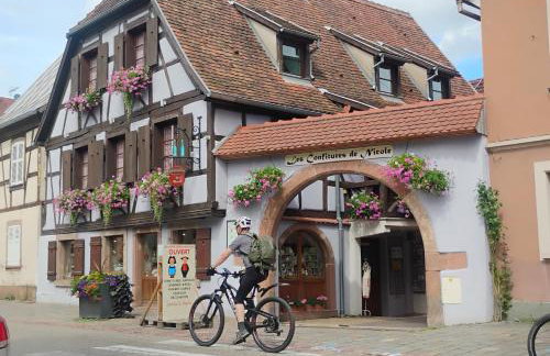 Gîte Le Marronnier, parking et terrasse au calme, entre Colmar-Riquewihr et Obernai, vue sur espaces verts et coteaux d Alsace, route du vin-châteaux - Foto 64