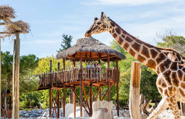 Zoo Aquarium Madrid - Foto 7