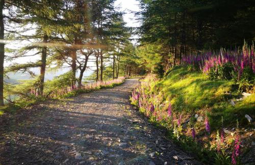 Manyleith Rig Cottage - Foto 17