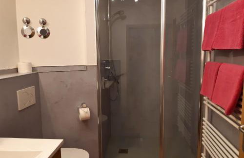 Bauernhof Finkel - Ferienwohnungen mit Balkon - Bergsicht - Traktor mitfahren - Tiere streicheln - entspannter Familienurlaub - zentrale Lage nahe Oberstdorf - Foto 44