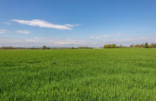 Ferienwohnung Trixi - Foto 22