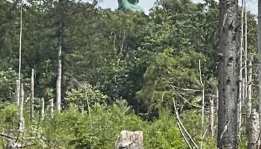 Ferienhaus am Teutoburger Wald - Foto 5