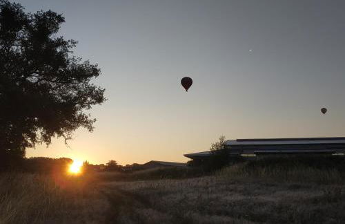 Domaine équestre de la Chênaie - Foto 31