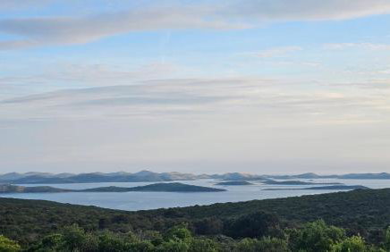 Robinson House Mimo - Photo 2