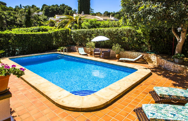 Mirlo Canta - Foto 31