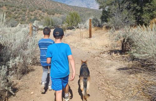 Secluded Oasis with View, and hot tub on 50 acres - Foto 22