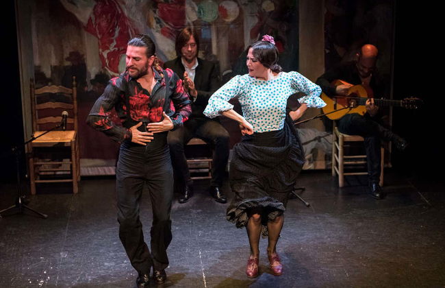 Espectáculo en el Teatro Flamenco Triana - Foto 6