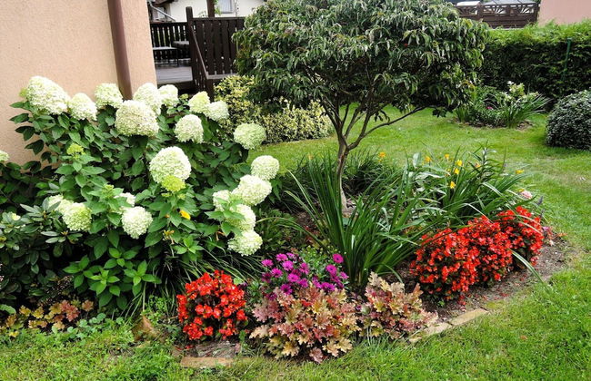 Holiday Home on Wolin Island Near Lagoon - Foto 23